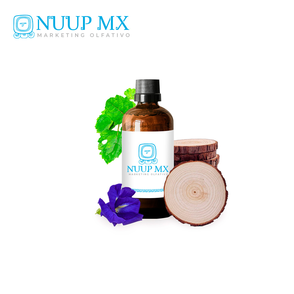 Caoba - NUUP MX