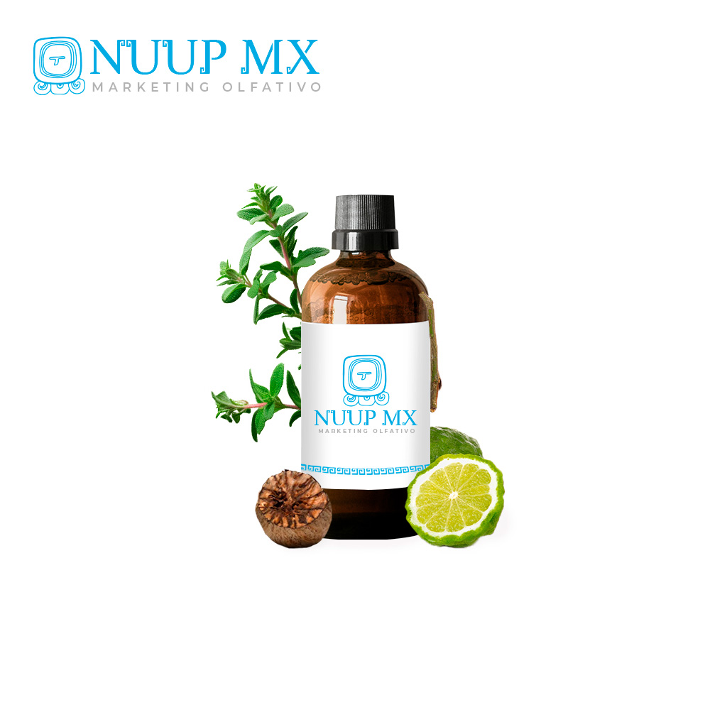 Chipre - NUUP MX
