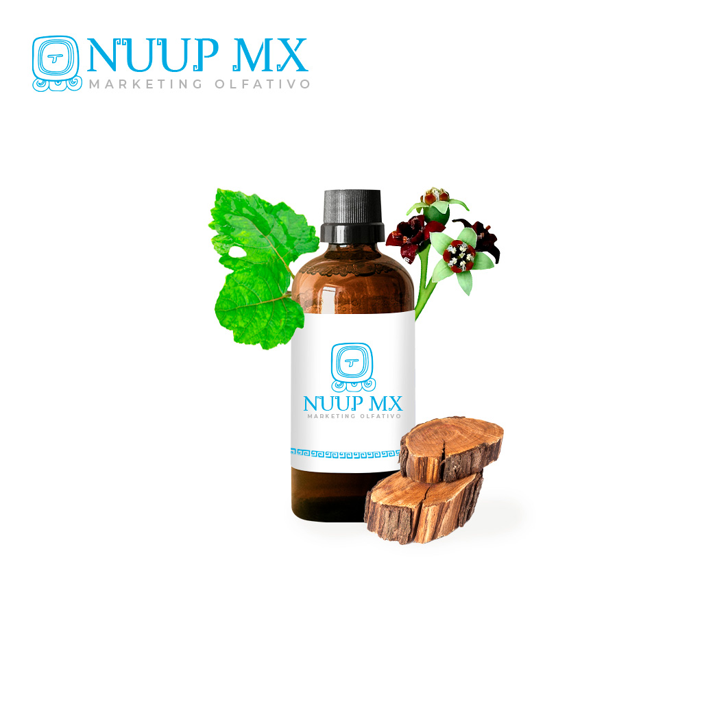Ambar Cedro - NUUP MX