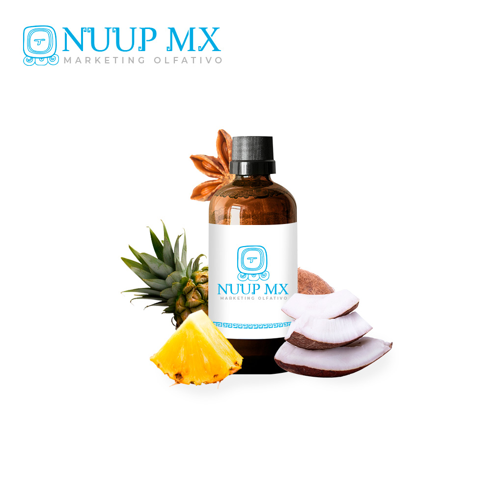 Citric Coco - NUUP MX