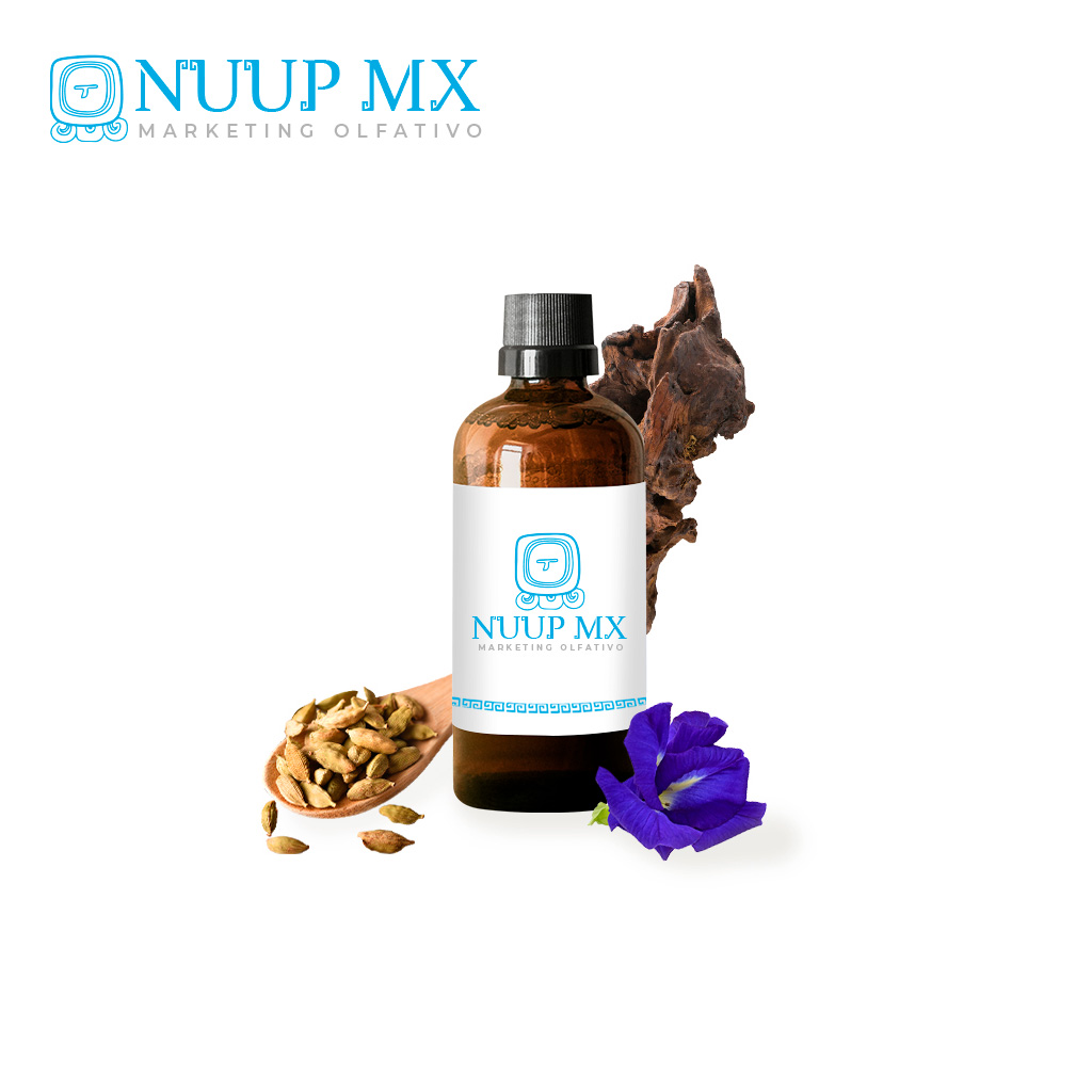 White Cedar - NUUP MX