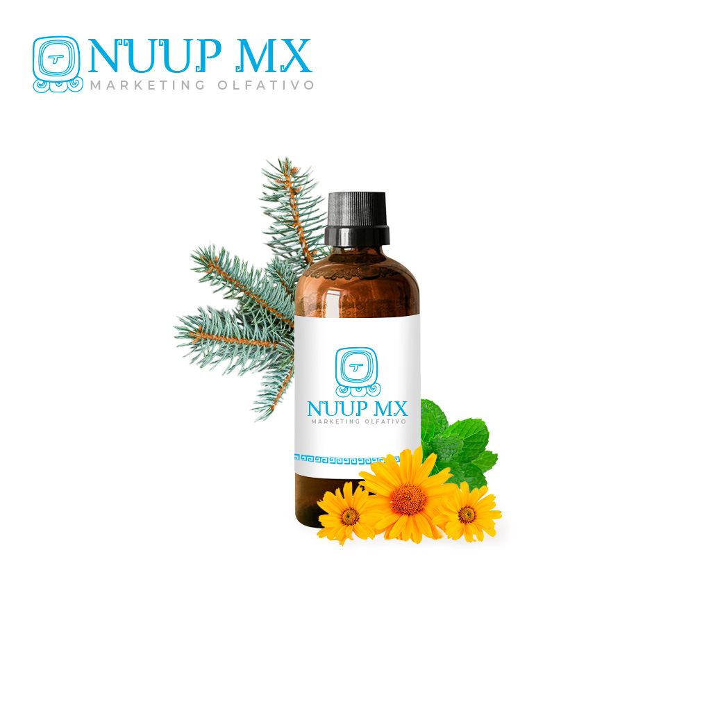 Bayas de Enebro - NUUP MX