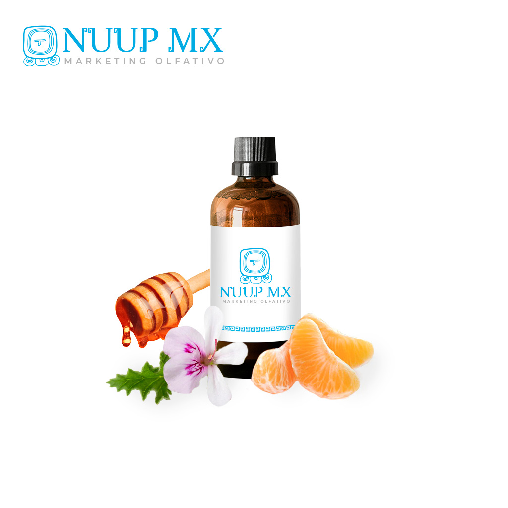 Oud - NUUP MX